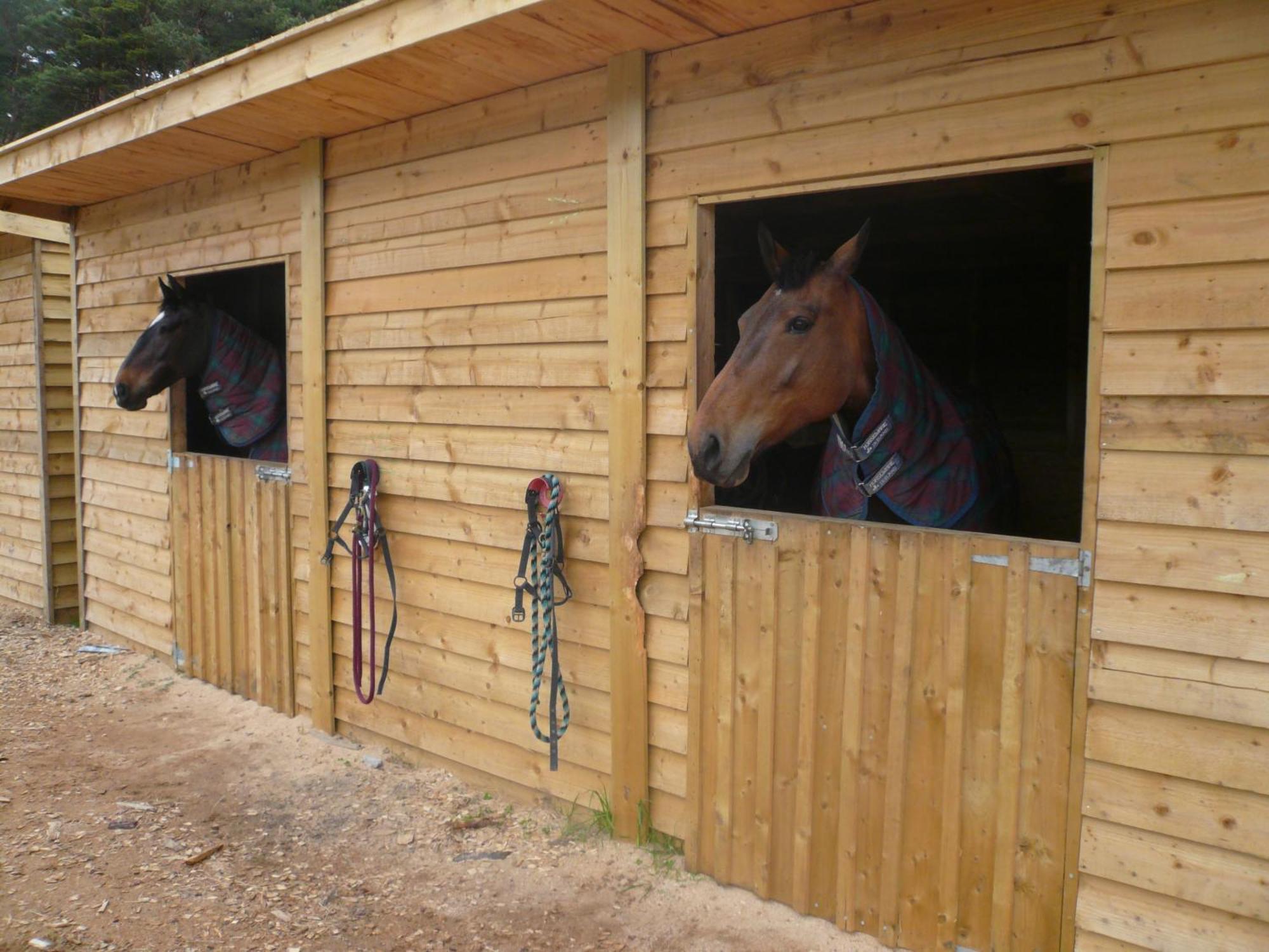Tigh An Each B&B & Laggan Glamping นิวตันมอร์ ภายนอก รูปภาพ